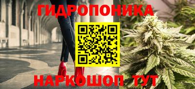 a pvp Заводоуковск