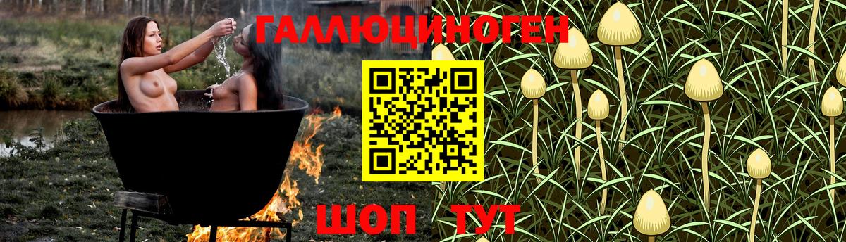 Галлюциногенные грибы Cubensis Махачкала