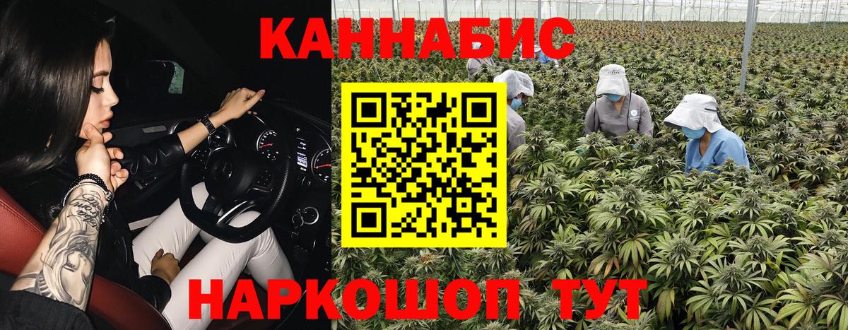МАРИХУАНА OG Kush Махачкала